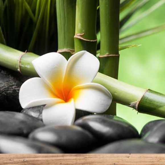 Meet your Posher, Sydnee - Picture 1 of 2